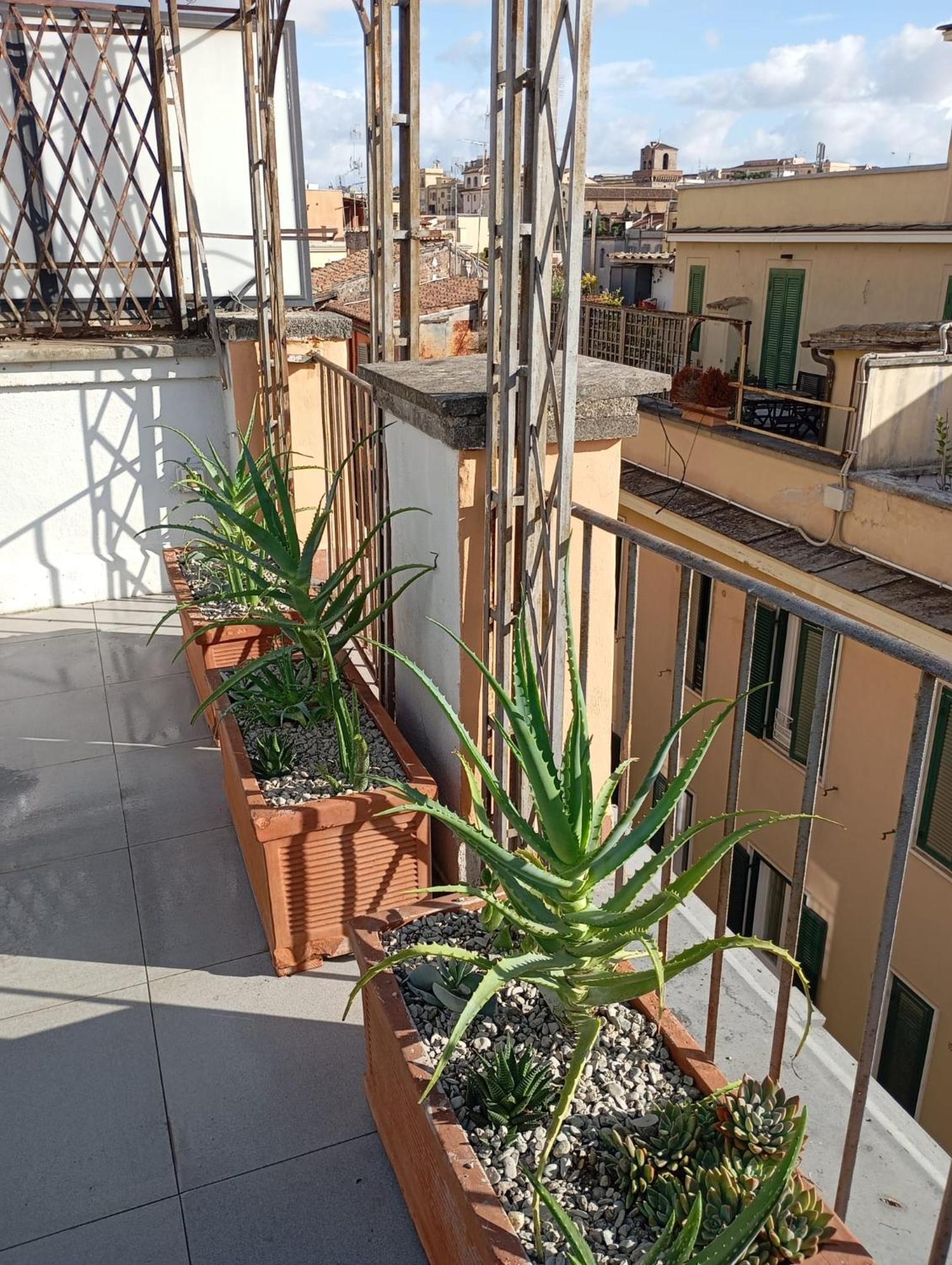 Colosseum Exclusive Duplex Rom Exteriör bild